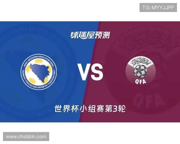 世界杯波黑卡塔尔比赛结果公布，专家解读比赛中的精彩瞬间与战术布局
